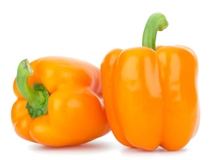 Blockpaprika Milena kaufen