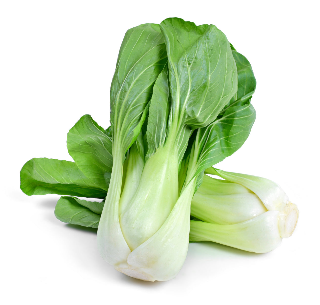 Pak Choi Samen