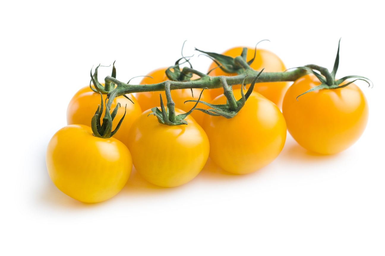 Cherrytomaten Golden Currant