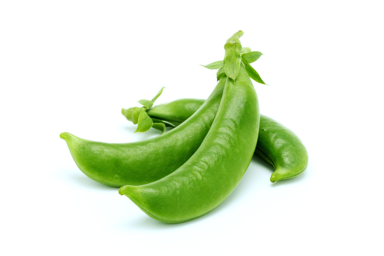 Schal- & Palerbsen Samen