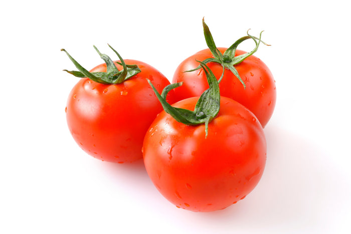 Salattomaten Fantasio kaufen