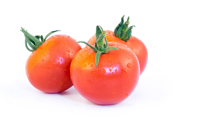 Salattomate Harzfeuer