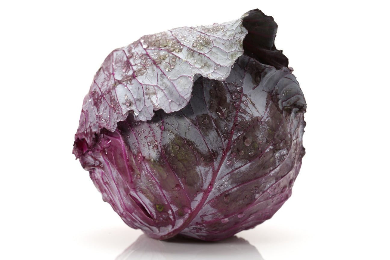 Rotkohl Samen