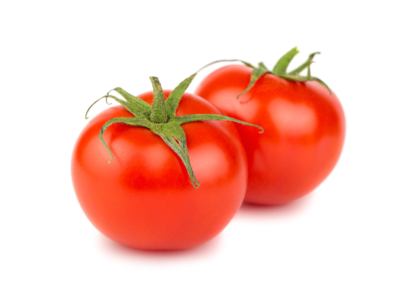 Salattomaten Moneymaker