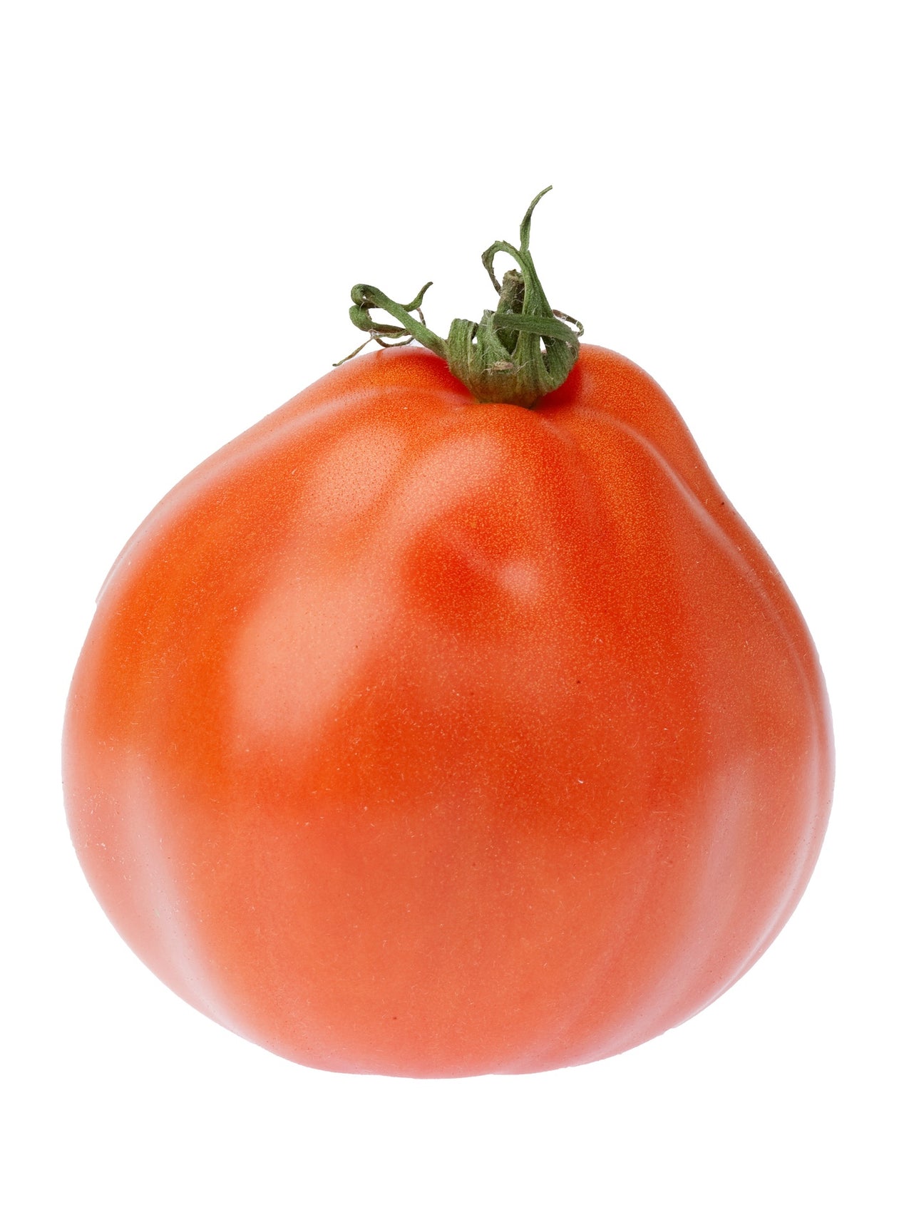 Fleischtomaten Coeur de Boeuf