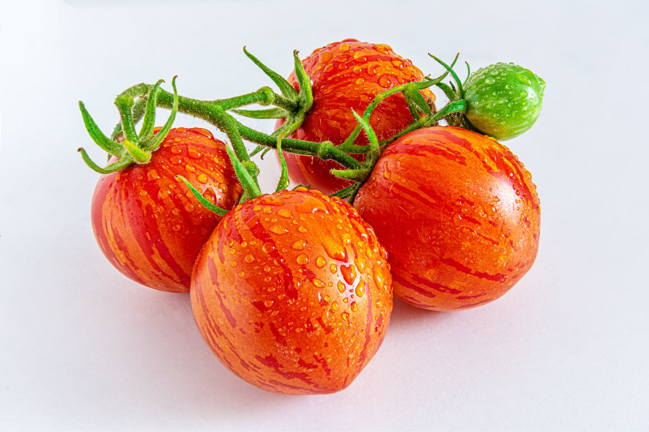 Fleischtomaten Anacoeur
