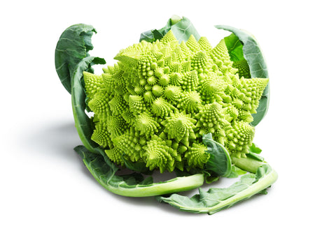 Blumenkohl White Gold