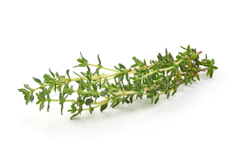 Thymian