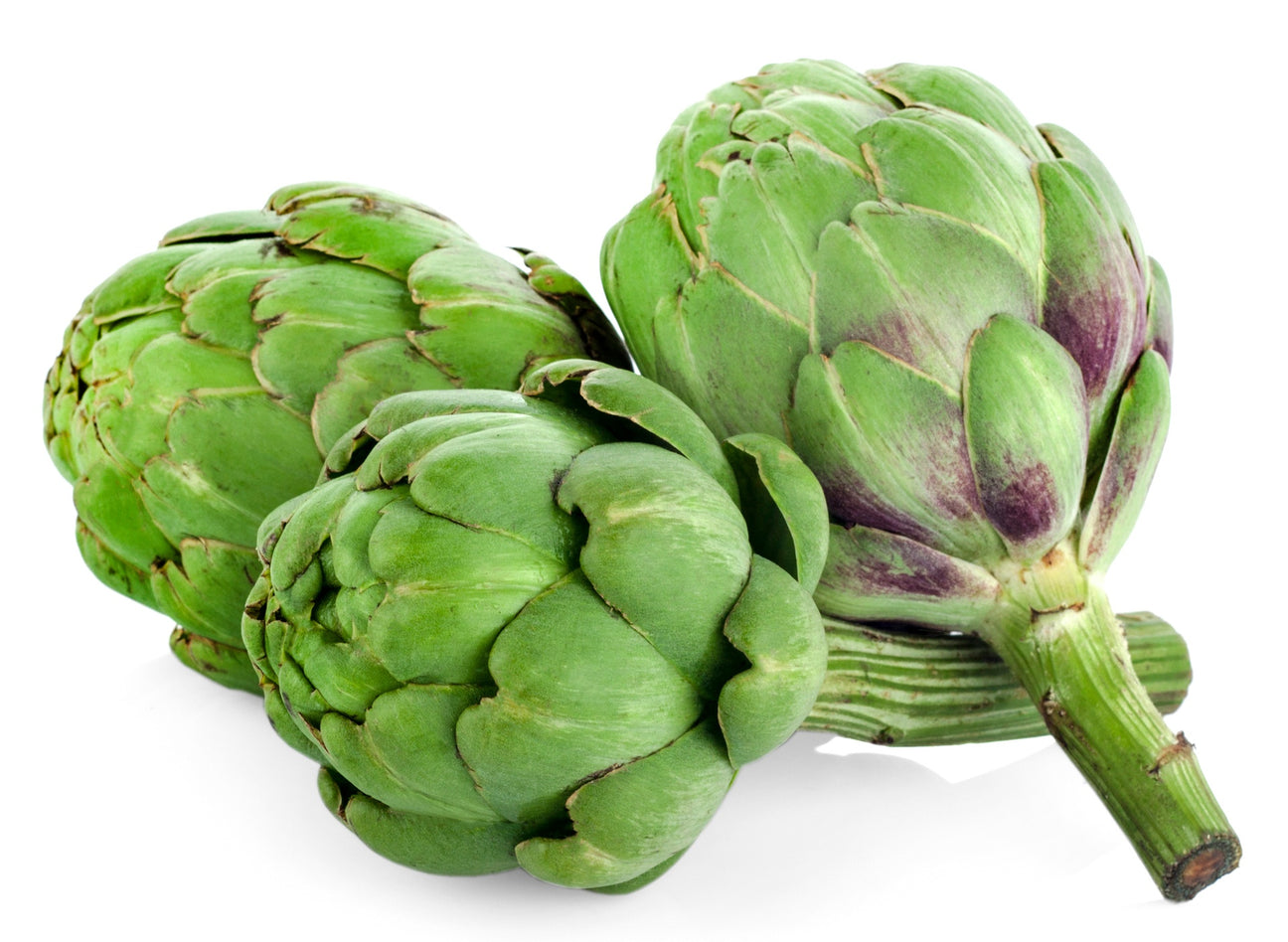Artischocken Vert de Provence