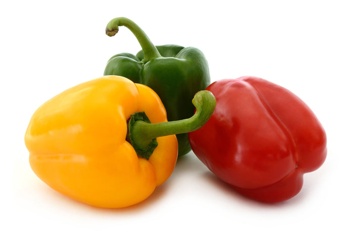 Blockpaprika California Wonder kaufen