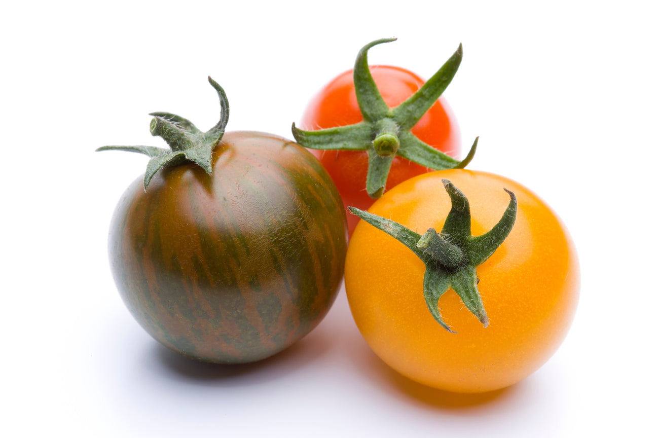 Tomatensamen
