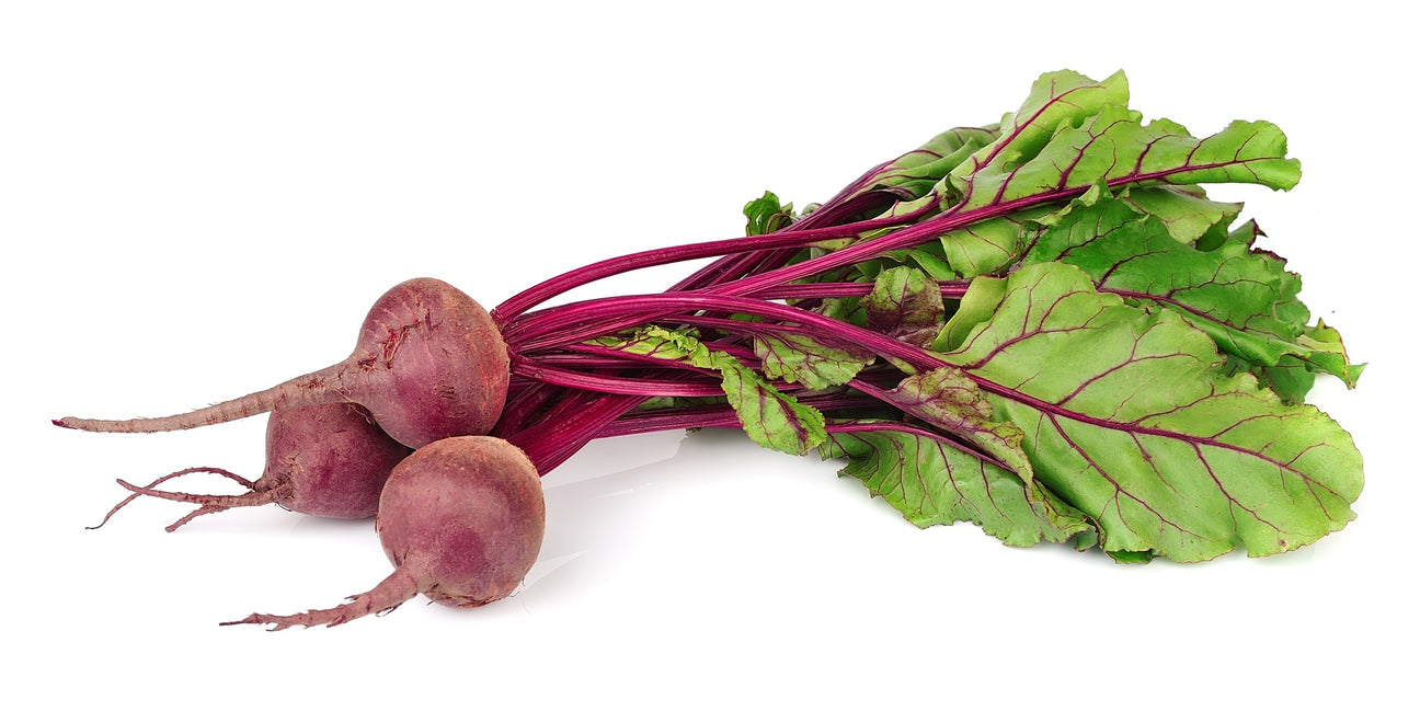 Rote-Beete Samen