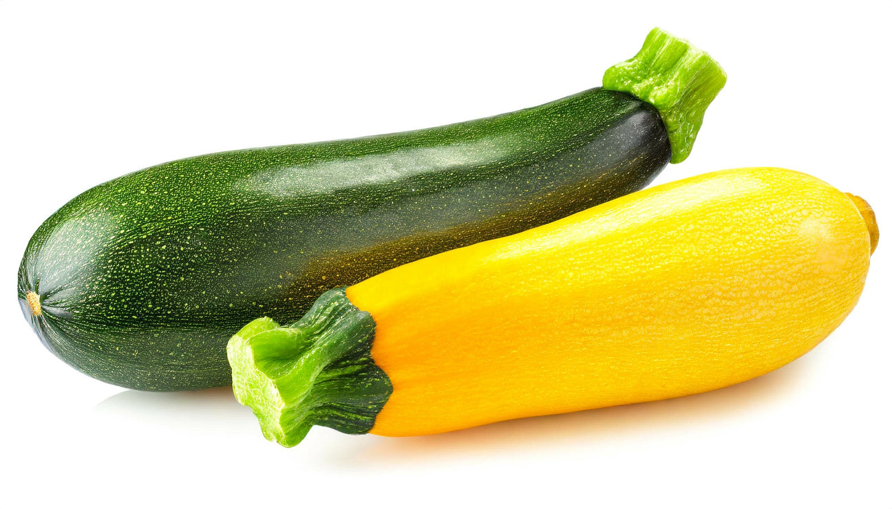 Zucchini Samen