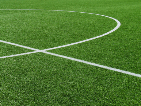 Spiel- & Sportrasen Samen