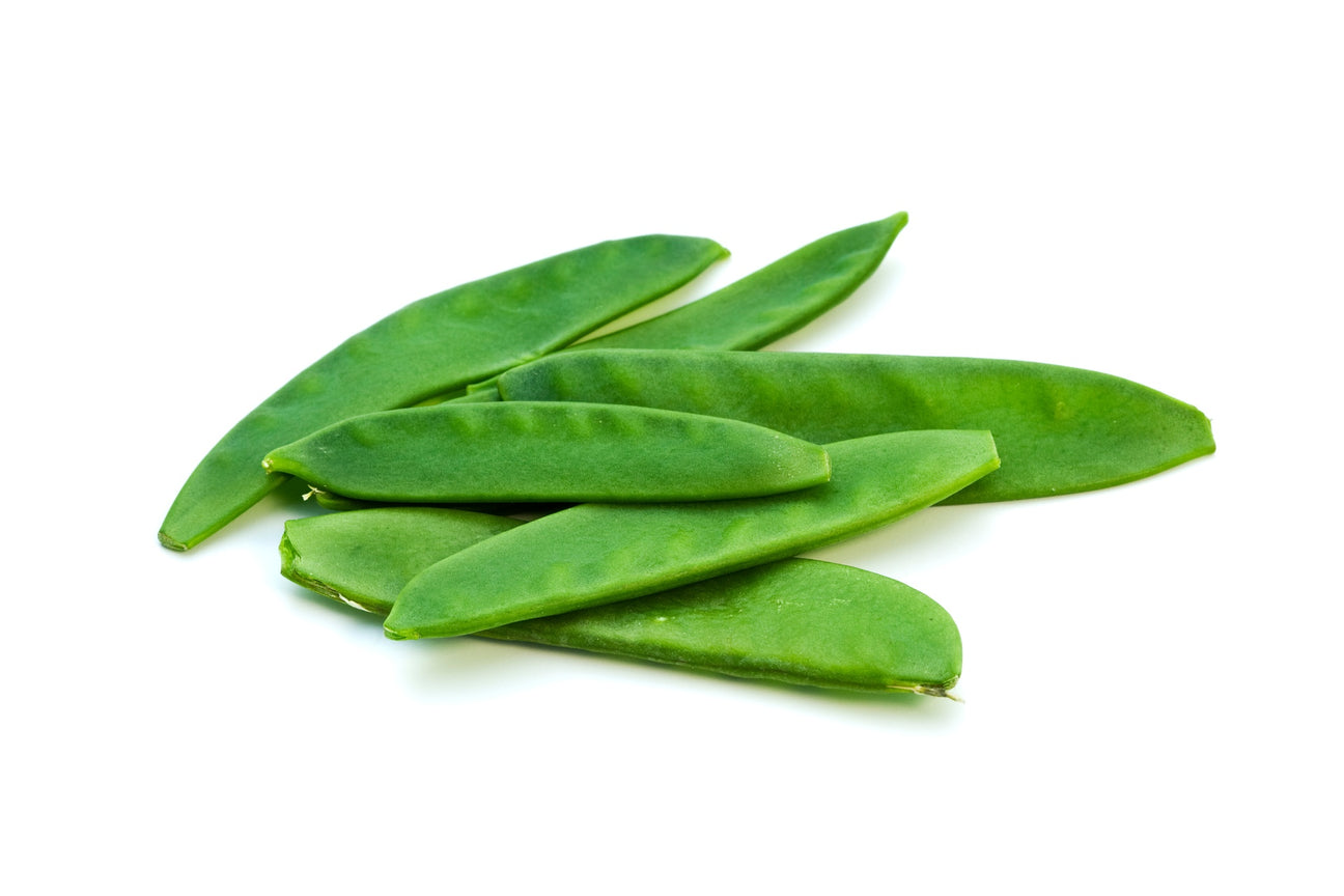 Zuckererbsen Samen