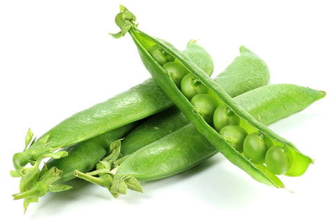 Erbsensamen