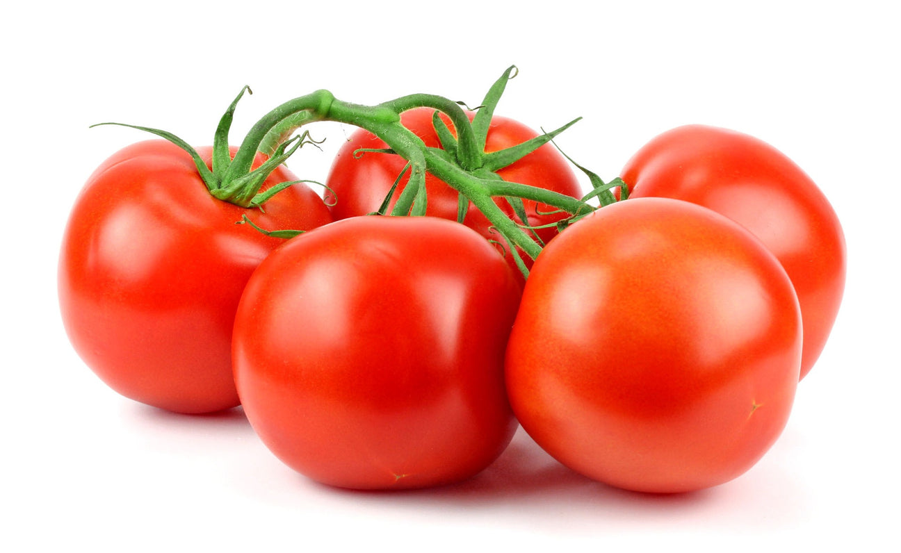 Salattomaten Hoffmanns Rentita