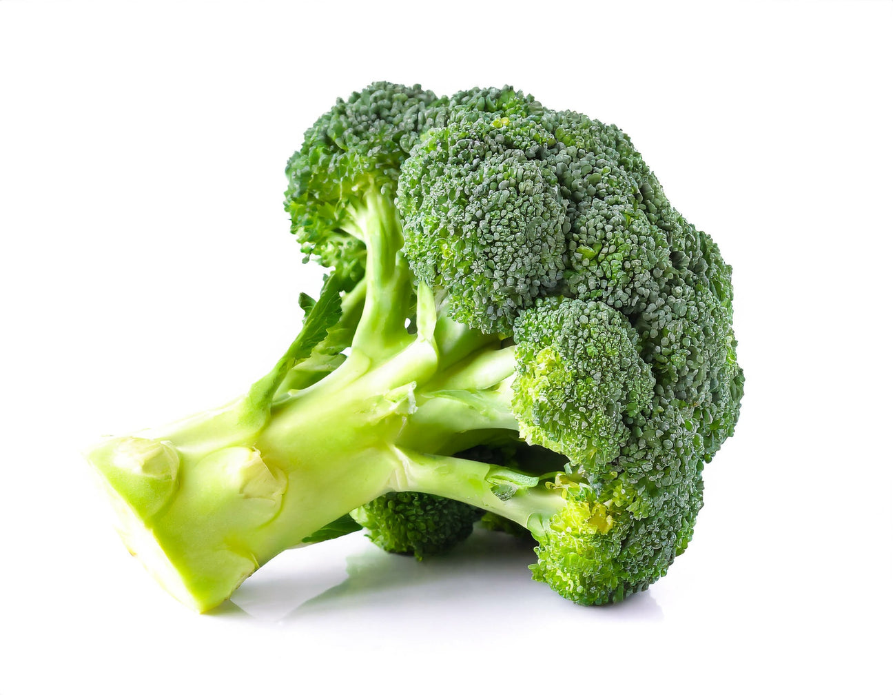 Brokkoli Samen