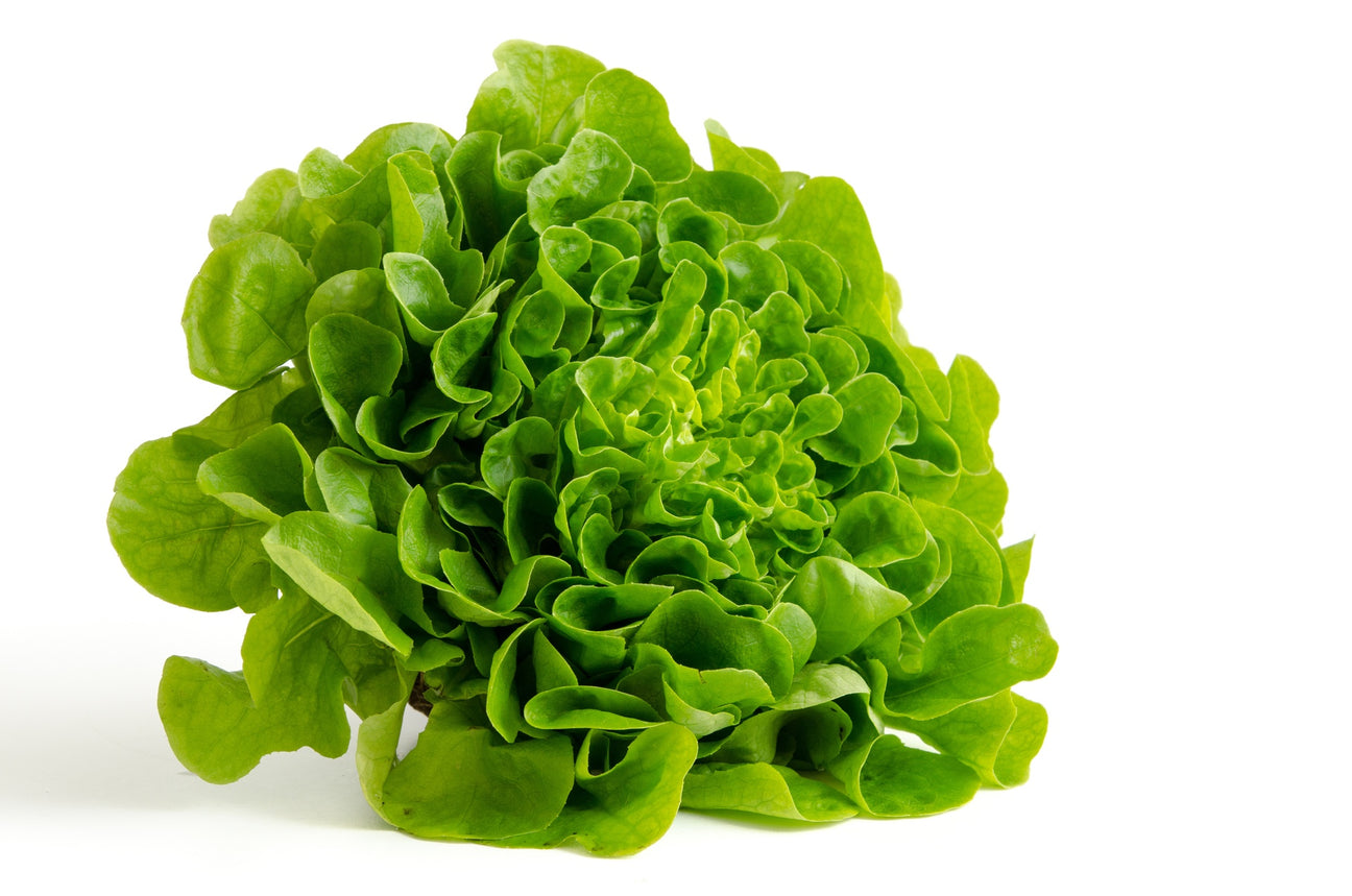 Salat Samen