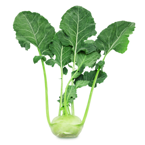Kohlrabi