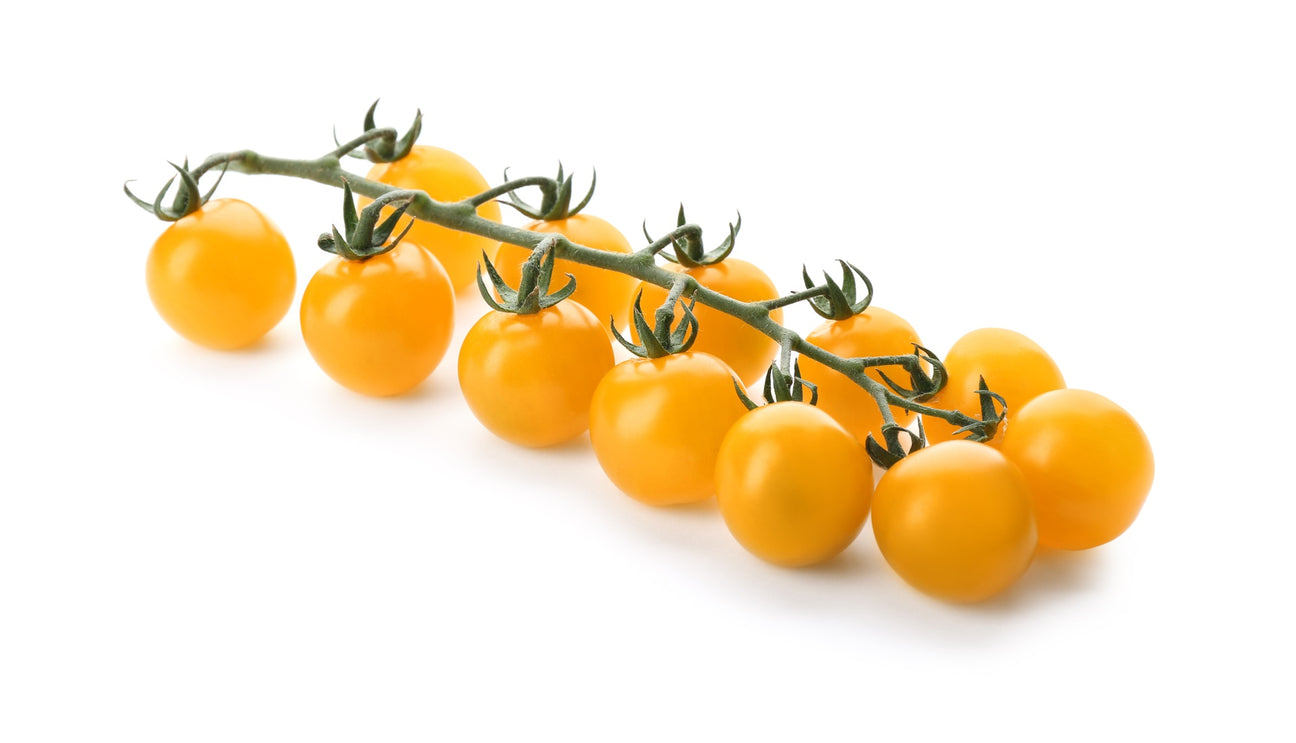 Cherrytomaten Sungold