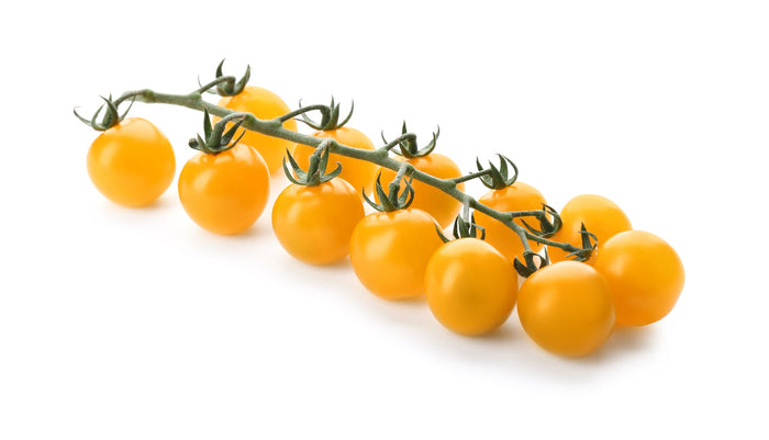 Cherrytomaten Sungold
