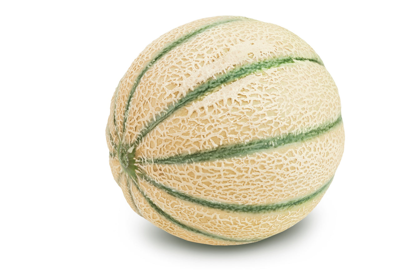 Zuckermelonen Samen
