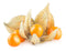 Physalis Samen