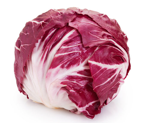 Radiccio