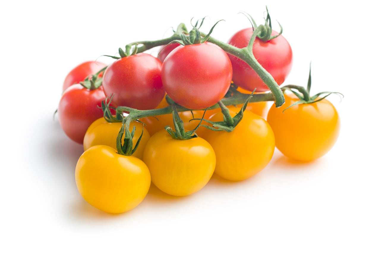 Cocktailtomaten Curaso Rot