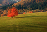 Oktober