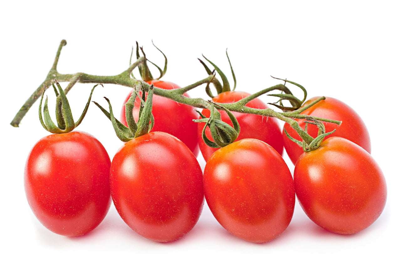 Cherrytomaten Bolstar Baloe