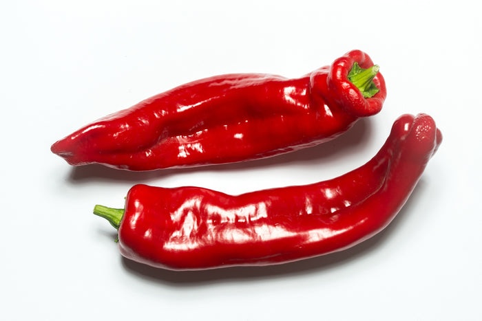 Blockpaprika Jubilandska kaufen
