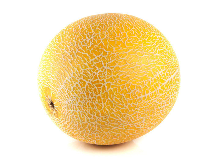 Zuckermelonen Masada kaufen