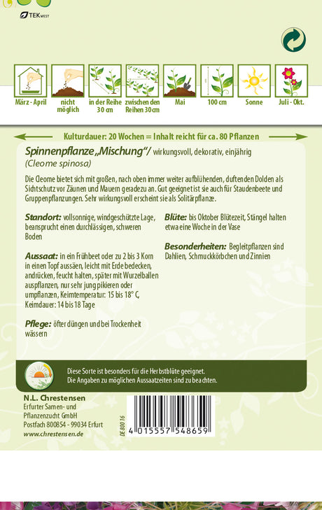 N.L. Chrestensen Spinnenpflanze Mischung