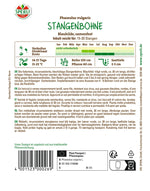 SPERLI Stangenbohne Blauhilde