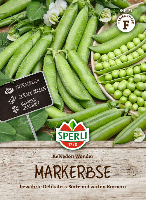 SPERLI Markerbse Wunder von Kelvedon