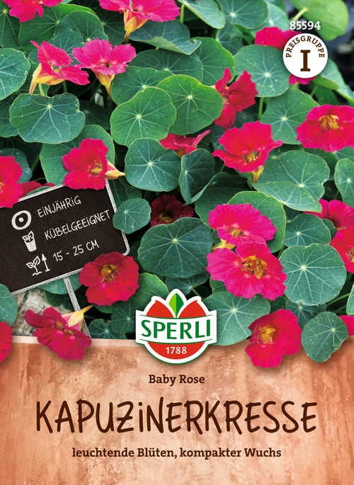SPERLI Kapuzinerkresse Baby Rose