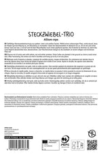 SPERLI Steckzwiebel Trio 75 Stück