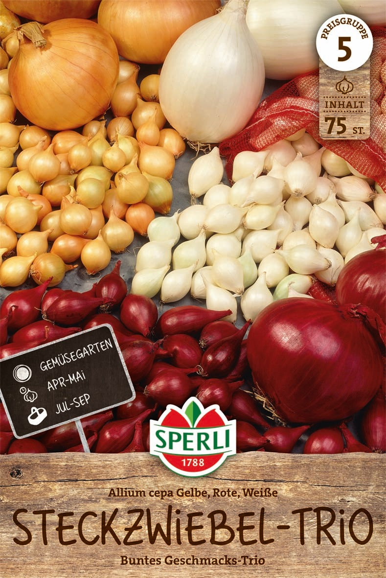SPERLI Steckzwiebel Trio 75 Stück