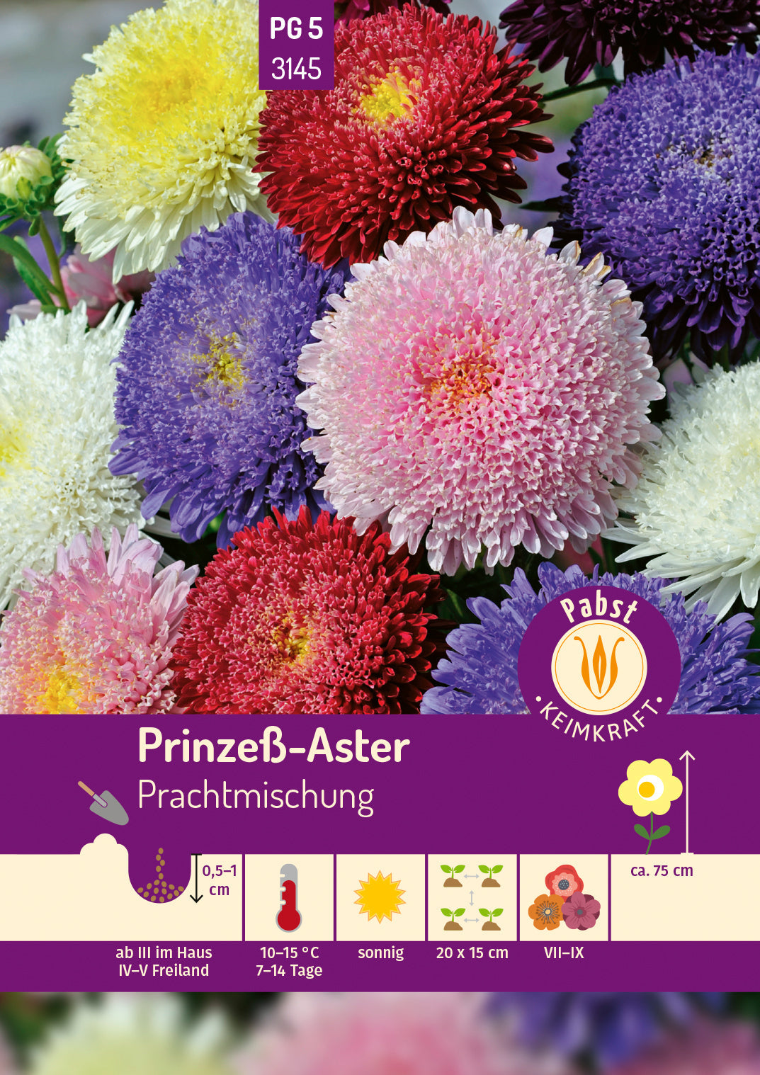 Pabst Keimkraft Prinzeß-Aster Mischung