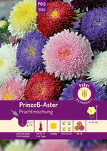 Pabst Keimkraft Prinzeß-Aster Mischung