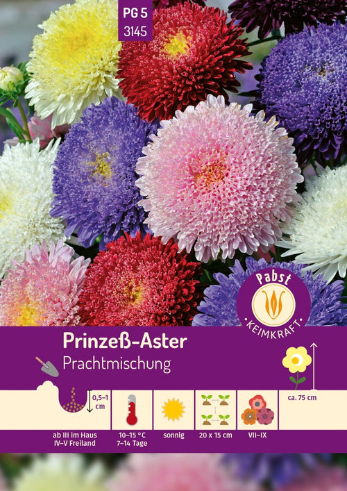 Pabst Keimkraft Prinzeß-Aster Mischung