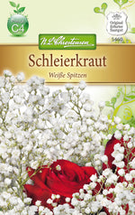 N.L. Chrestensen Schleierkraut Weiße Spitzen
