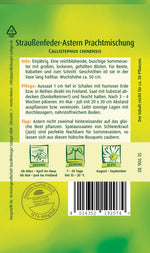 Quedlinburger Straußenfeder-Aster Prachtmischung