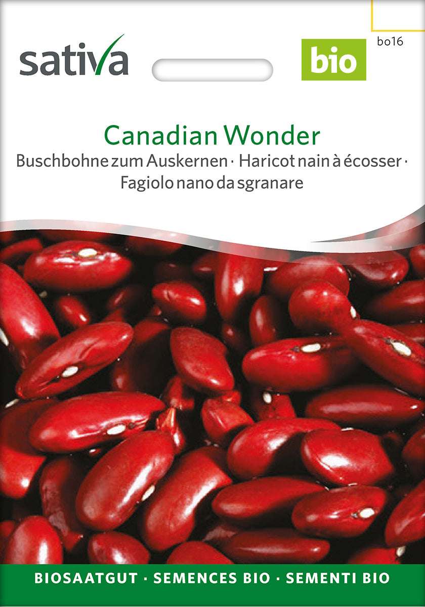 Sativa Buschbohne zum Auskernen Canadian Wonder