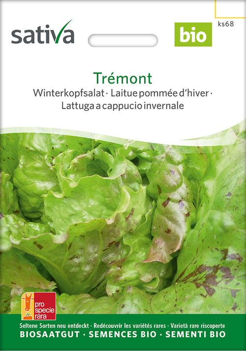 Sativa BIO Winterkopfsalat Trémont
