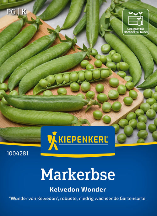 Kiepenkerl Markerbse Kelvedon Wonder