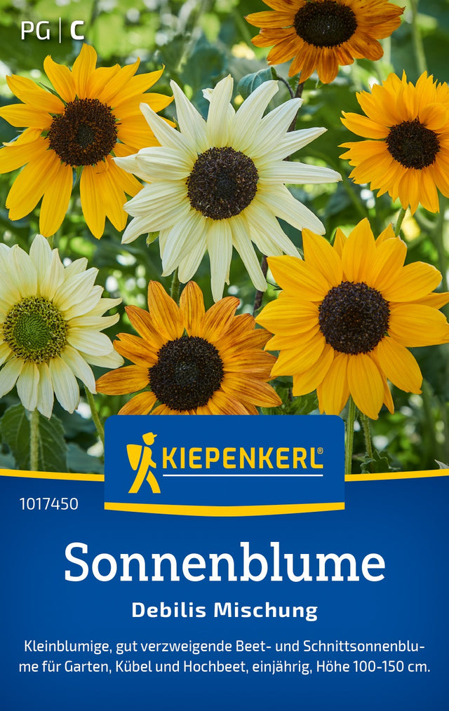 Kiepenkerl Sonnenblumen Debilis Mischung