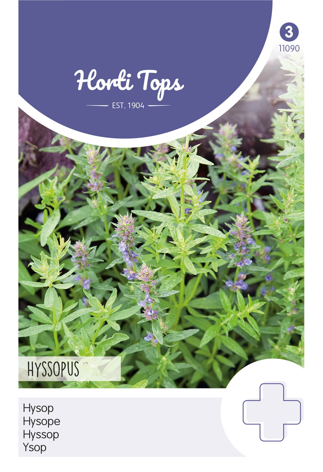 Horti Tops Ysop